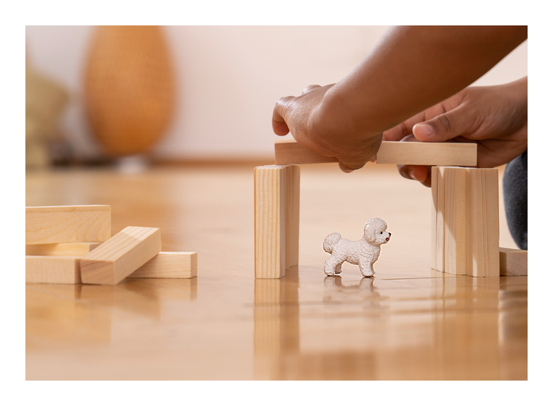 Schleich - Bichon Frise - Image