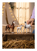 Schleich - Marwari Stallion - Image