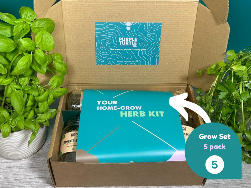 Grow Your Own Herbs Gift Set, rear view