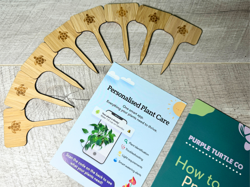 Plant Propagation Gift Set #4, rear view