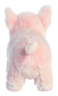 eco-nation-pig-9-5