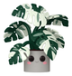Pop! Jumbo - Flora - Monstera