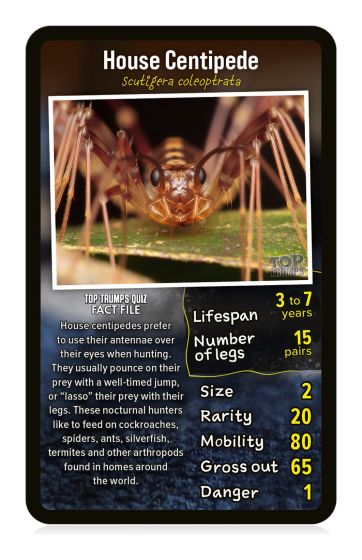 Top Trumps Creepy Crawlies