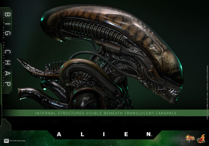Hot Toys Alien Big Chap 1/6th Scale Figure