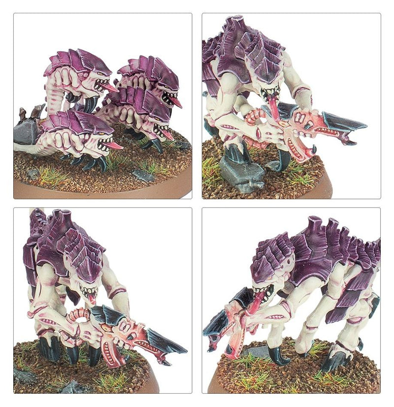 WARHAMMER 40000: INTRODUCTORY SET, packaging shot