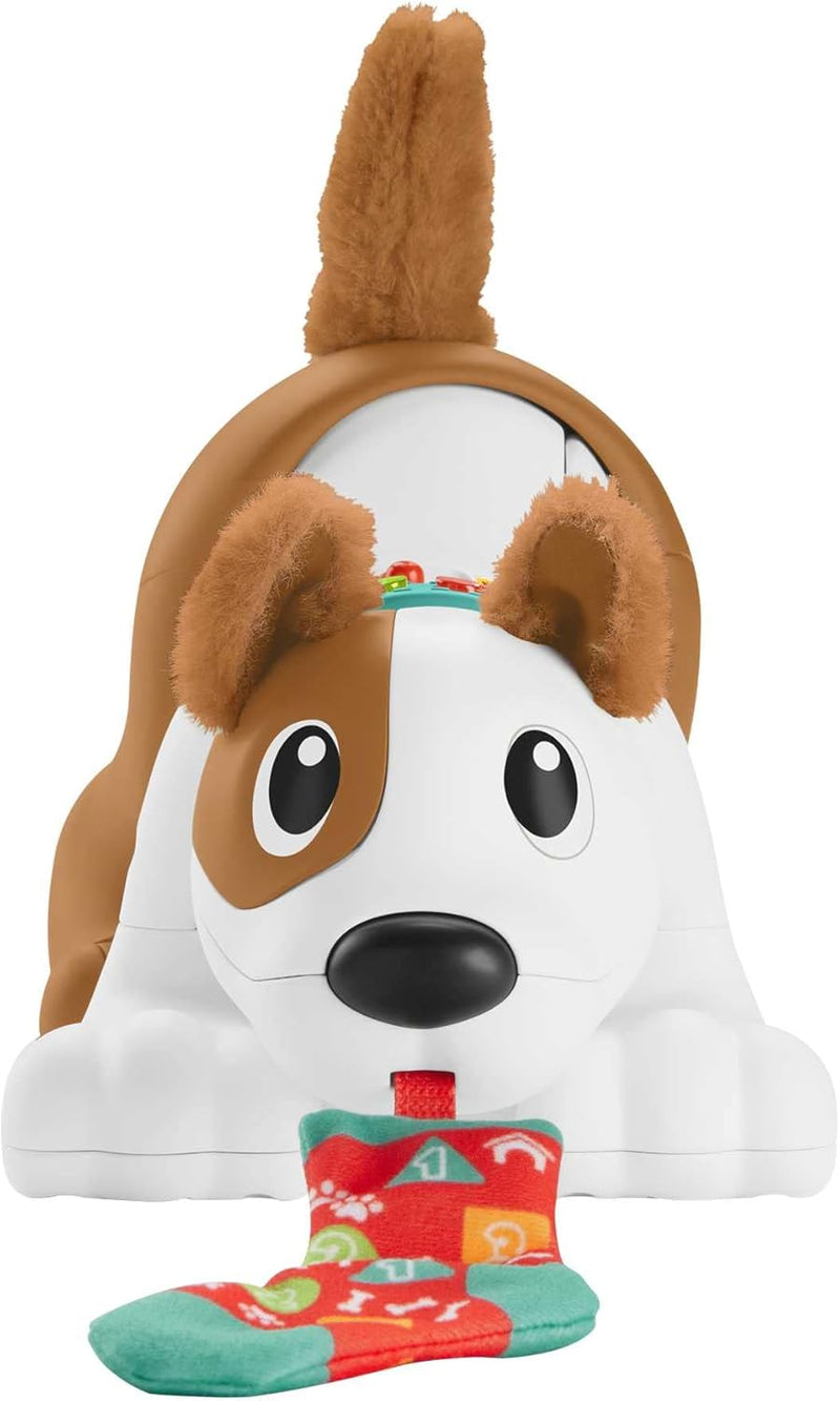 Fisher-Price 123 Crawl With Me Puppy, in display