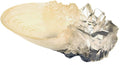 Harry Potter: The Crystal Goblet from The Cave by The Noble Collection, side angle