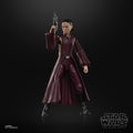 Padmé Amidala Collectible from Star Wars Black Series, additional view