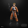 Star Wars The Black Series Luke Skywalker, in display