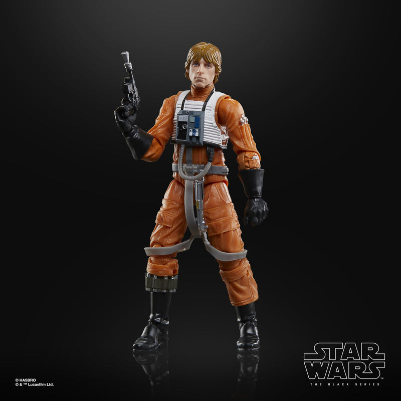 Star Wars The Black Series Luke Skywalker, in display