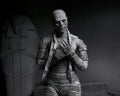Universal Monsters (B/W) Mummy Ultimate 7" Scale Action Figure (view 2)