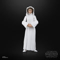 Star Wars Princess Leia Organa Episode IV Black Series Actio, rear view
