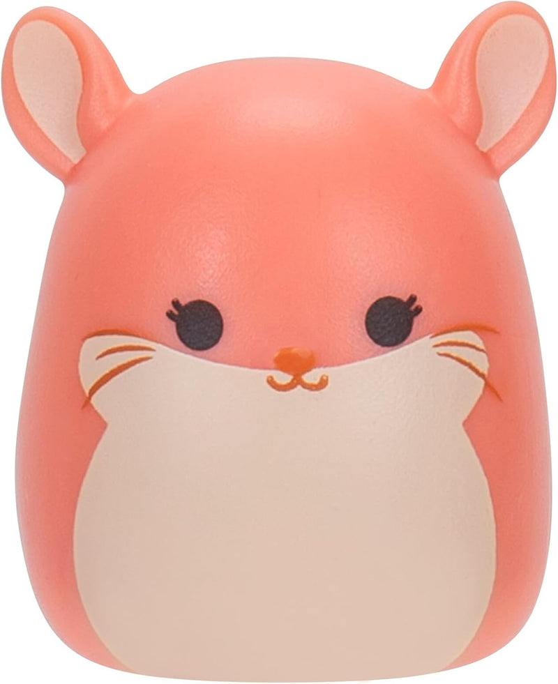 Squishmallows Squish-a-longs 25 Pack, alternate view