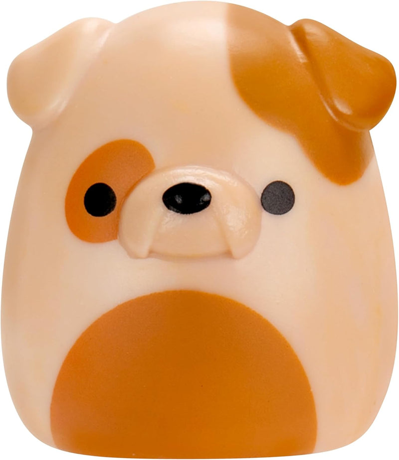 SquishAlong Squishmallow Collectibles 8 Figure Pack (Style 4) (Wave 3) - Image 9