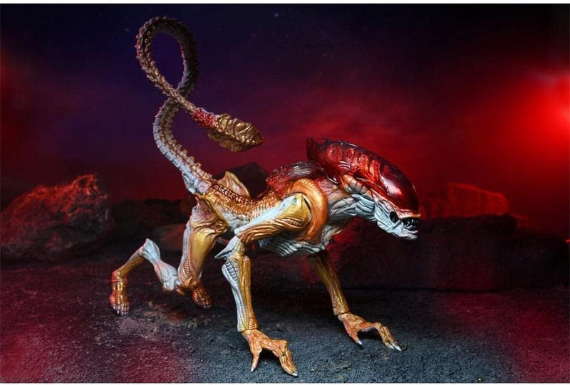 Aliens Panther Alien (Kenner Tribute) 7" Scale Action Figure - Reduction (view 3)