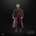 Padmé Amidala Collectible from Star Wars Black Series, rear view