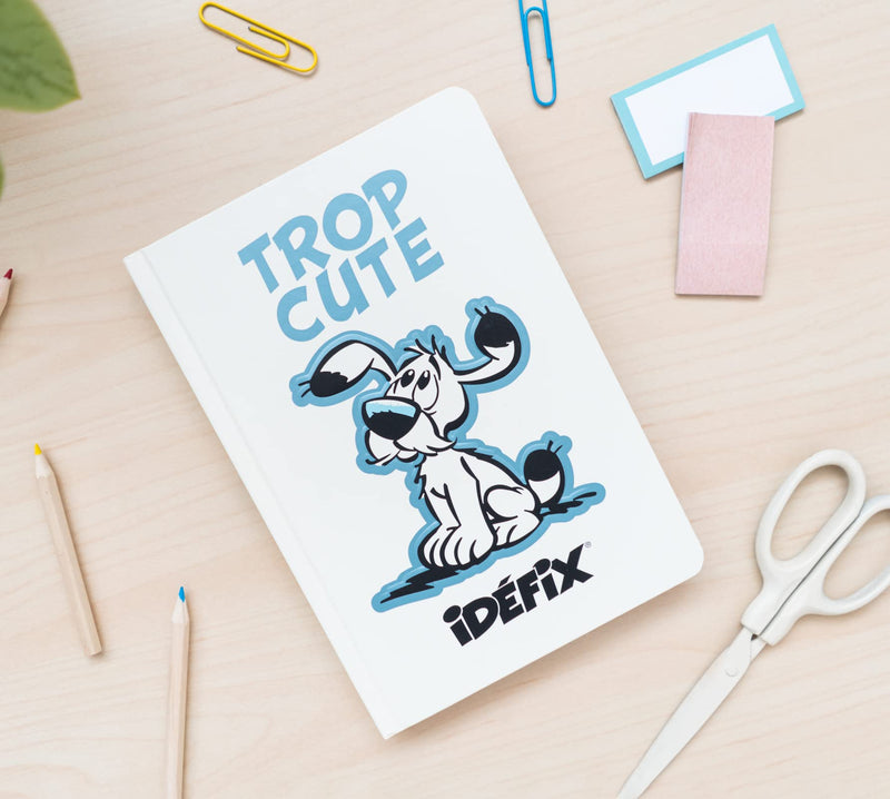 Asterix Idéfix Premium A5 Notebook packaging view