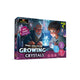 Make Your Own Crystal Growing Kit For Kids & Teens