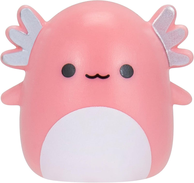 Squishmallows Squish-a-longs 25 Pack, showing reverse