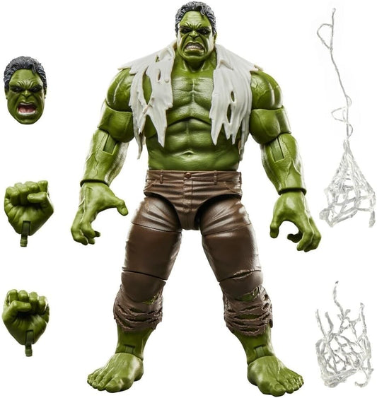 Marvel Legends Series Spider-Man Brand New Day Hulk Action Figure