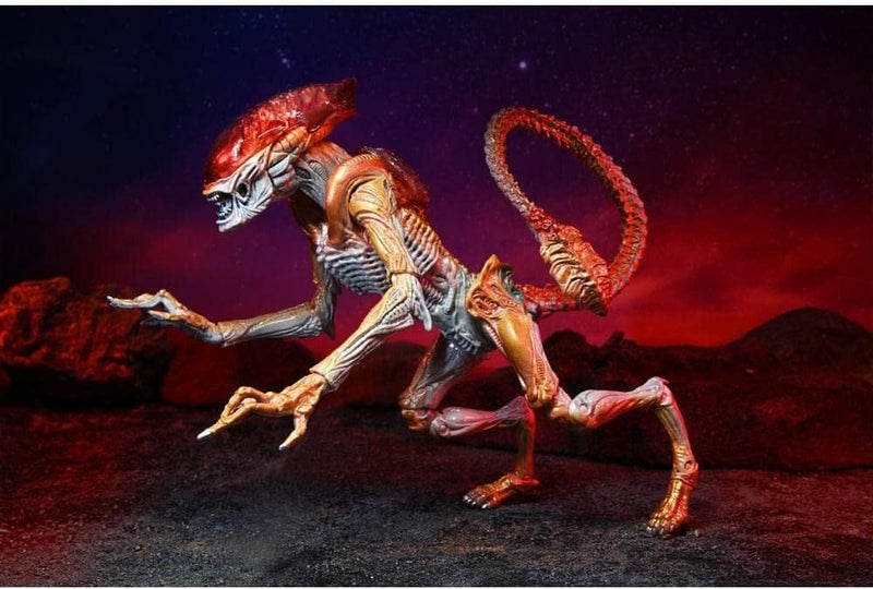 Aliens Panther Alien (Kenner Tribute) 7" Scale Action Figure - Reduction (view 2)