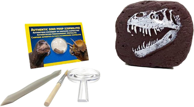 National Geographic Dinosaur Dig Kit, rear view