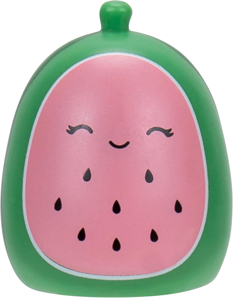 Squishmallows Squish-a-longs 25 Pack, close-up detail