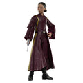 Padmé Amidala Collectible from Star Wars Black Series
