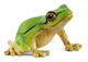 Schleich European Tree Frog