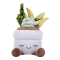 Greenhouse - 12" Mixed Plush Assortment