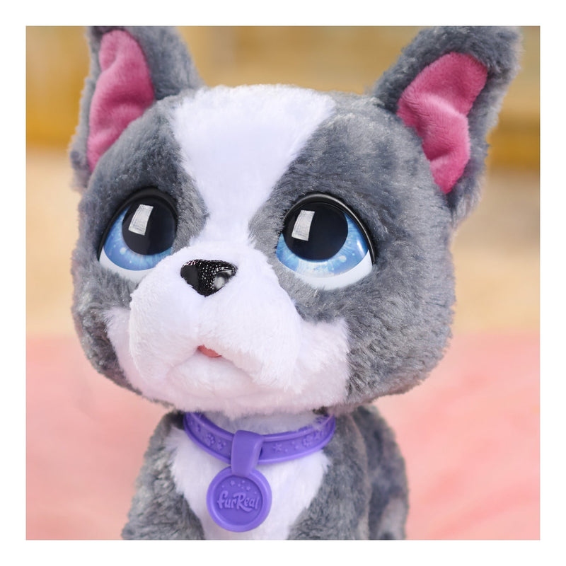 FurReal Walk-A-Lots French Bulldog, packaging shot