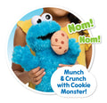 Sesame Street Nom Nom Cookie Monster