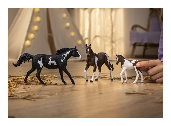 Schleich - Paint Horse Foal