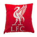Liverpool FC Cushion collectible from Infinity Collectibles 2026