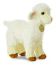 MiYoni Lamb 10"