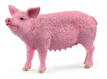 Schleich - Pig