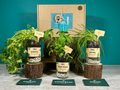 Grow Your Own Herbs Gift Set, packaging shot