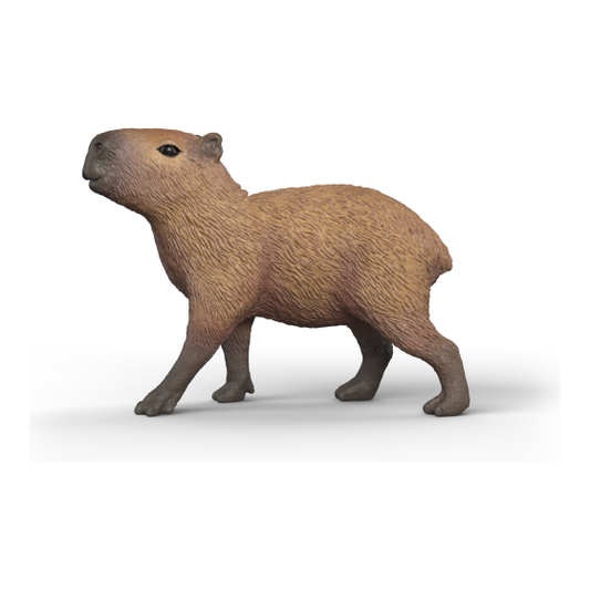 Schleich - Capybara