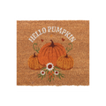 Natural Autumn Days Hello Pumpkin Doormat