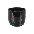 Poisonous Plants Plant Pot