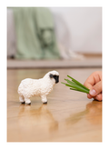 Schleich - Bichon Frise - Image