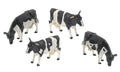 Friesian Cattle - Image