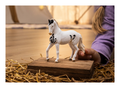 Schleich - Marwari Stallion - Image