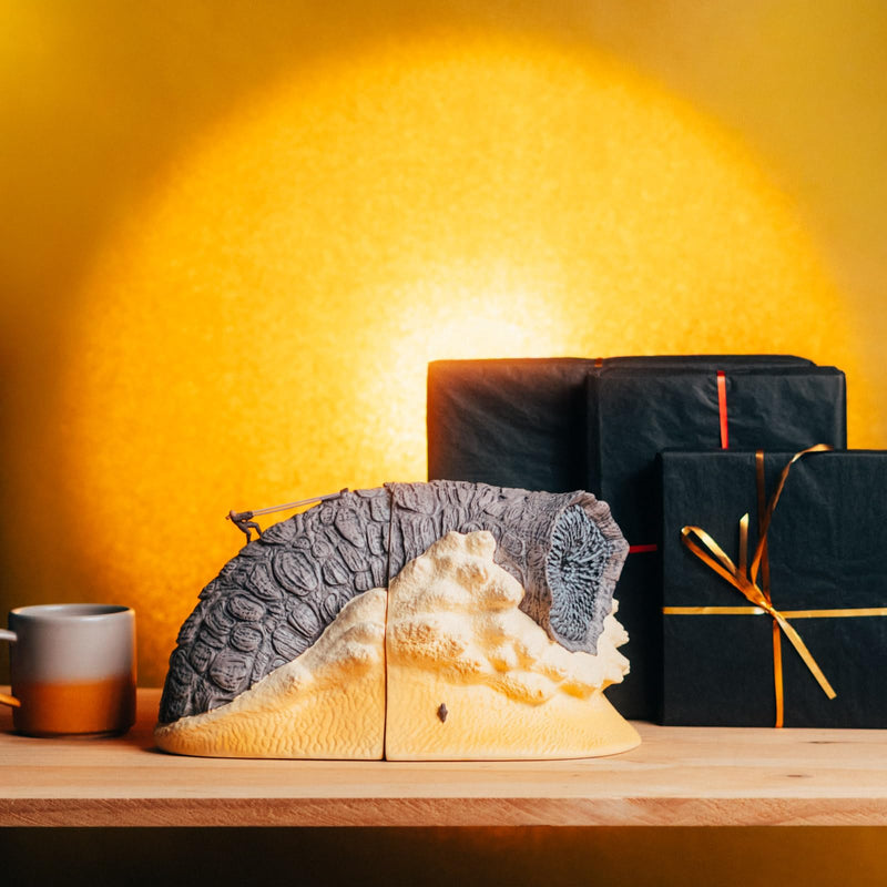 Dune Bookends for Shelves Desks and Media Units
