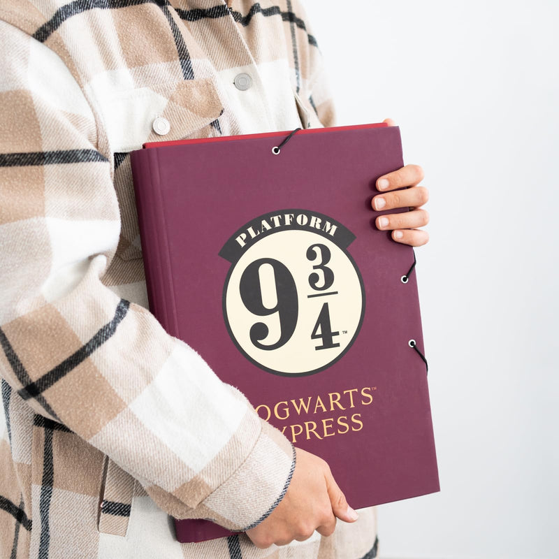 Harry Potter 9 3/4 File Folder design detail