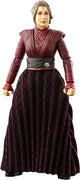 Star Wars The Vintage Collection Ahsoka Morgan Elsbeth Action Figure