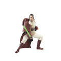 Star Wars Jedi Master Indara The Acolyte Black Series Action
