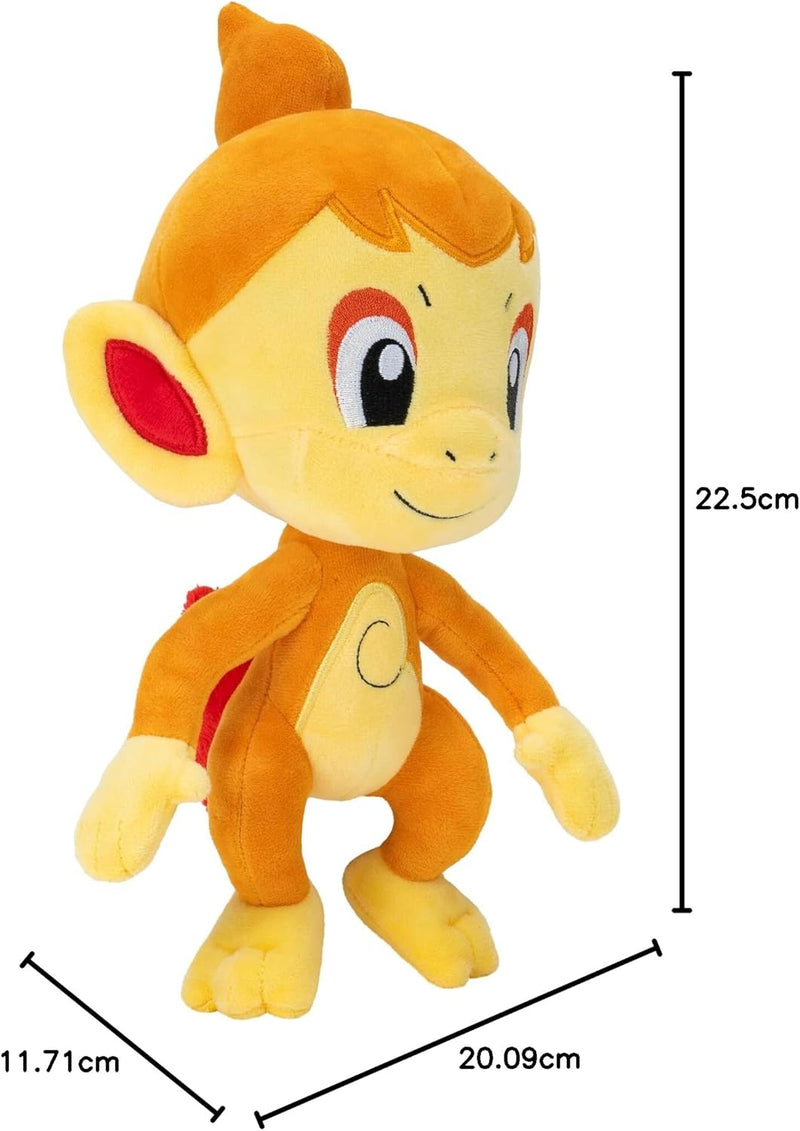 Pokemon 8 inch Plush, packaging shot