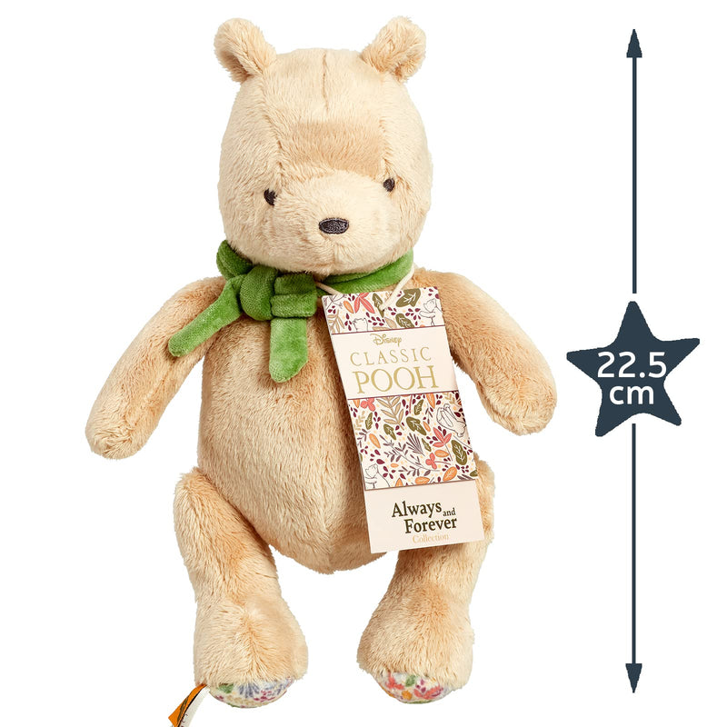 Winnie the Pooh Pooh Always and Forever Plush
