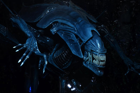 Alien Queen Aliens Ultra Deluxe Boxed Action Figure (view 2)